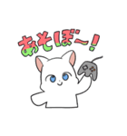 しろにゃんこ～～（個別スタンプ：16）