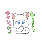 しろにゃんこ～～（個別スタンプ：24）