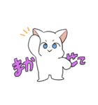しろにゃんこ～～（個別スタンプ：31）