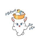 しろにゃんこ～～（個別スタンプ：39）