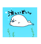 アザラシ ～夏～（個別スタンプ：1）