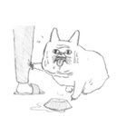 French Bulldog/pet（個別スタンプ：10）