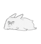 French Bulldog/pet（個別スタンプ：19）