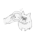 French Bulldog/pet（個別スタンプ：40）