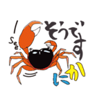 ポップなアニマルスタンプ。（個別スタンプ：20）