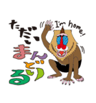 ポップなアニマルスタンプ。（個別スタンプ：26）