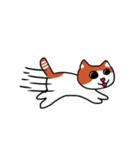 moca＆coco（個別スタンプ：13）