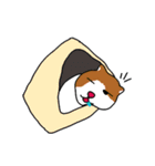 moca＆coco（個別スタンプ：24）