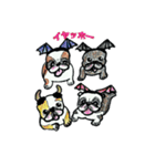 フレブル★まゆげ犬どん⑤（個別スタンプ：12）