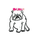 フレブル★まゆげ犬どん⑤（個別スタンプ：13）