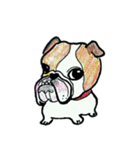 フレブル★まゆげ犬どん⑤（個別スタンプ：17）