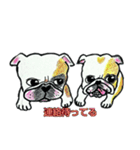 フレブル★まゆげ犬どん⑤（個別スタンプ：22）