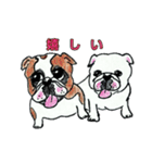 フレブル★まゆげ犬どん⑤（個別スタンプ：31）