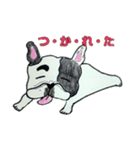 フレブル★まゆげ犬どん⑤（個別スタンプ：34）
