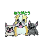 フレブル★まゆげ犬どん⑤（個別スタンプ：35）