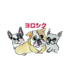 フレブル★まゆげ犬どん⑤（個別スタンプ：36）