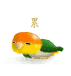 SoftParrots（個別スタンプ：6）