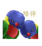 SoftParrots（個別スタンプ：23）