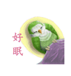 SoftParrots（個別スタンプ：27）