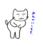 白猫のねこ丸 2（個別スタンプ：14）