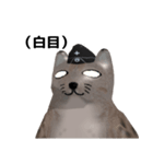 山猫さん 第二発（個別スタンプ：21）
