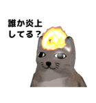 山猫さん 第二発（個別スタンプ：24）