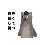 山猫さん 第二発（個別スタンプ：31）