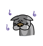 ブヒです。（個別スタンプ：6）