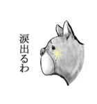 ブヒです。（個別スタンプ：27）