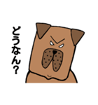 危険犬種 土佐犬（個別スタンプ：3）