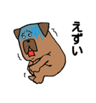 危険犬種 土佐犬（個別スタンプ：31）