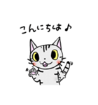 猫のちびすけ★日常会話スタンプ（個別スタンプ：2）