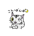 猫のちびすけ★日常会話スタンプ（個別スタンプ：3）