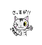 猫のちびすけ★日常会話スタンプ（個別スタンプ：6）