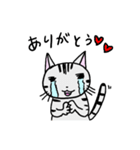 猫のちびすけ★日常会話スタンプ（個別スタンプ：8）