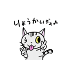 猫のちびすけ★日常会話スタンプ（個別スタンプ：10）