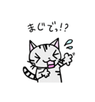 猫のちびすけ★日常会話スタンプ（個別スタンプ：11）