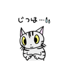 猫のちびすけ★日常会話スタンプ（個別スタンプ：13）