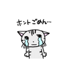 猫のちびすけ★日常会話スタンプ（個別スタンプ：14）