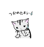 猫のちびすけ★日常会話スタンプ（個別スタンプ：15）