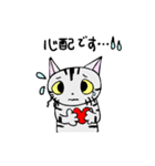 猫のちびすけ★日常会話スタンプ（個別スタンプ：16）