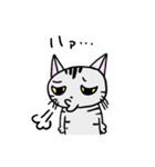 猫のちびすけ★日常会話スタンプ（個別スタンプ：17）