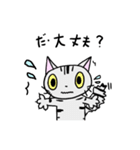 猫のちびすけ★日常会話スタンプ（個別スタンプ：18）