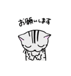 猫のちびすけ★日常会話スタンプ（個別スタンプ：19）
