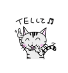 猫のちびすけ★日常会話スタンプ（個別スタンプ：20）