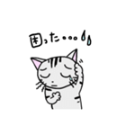 猫のちびすけ★日常会話スタンプ（個別スタンプ：21）