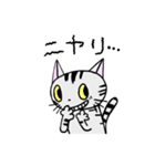 猫のちびすけ★日常会話スタンプ（個別スタンプ：22）