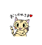 猫のちびすけ★日常会話スタンプ（個別スタンプ：23）