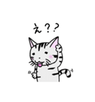 猫のちびすけ★日常会話スタンプ（個別スタンプ：24）