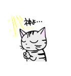 猫のちびすけ★日常会話スタンプ（個別スタンプ：25）